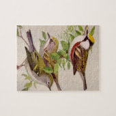 Chestnut Warbler van Louis Agassiz Fuertes Legpuzzel (Horizontaal)