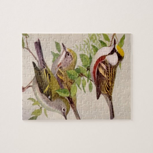 Chestnut Warbler van Louis Agassiz Fuertes Legpuzzel (Horizontaal)