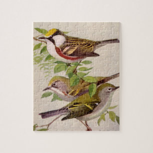 Chestnut Warbler van Louis Agassiz Fuertes Legpuzzel