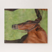 Chestnut Warmblood Foal with Tail on Head Legpuzzel (Horizontaal)