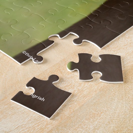 Chestnut Warmblood Foal with Tail on Head Legpuzzel (Zijkant)