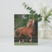 Chestnut Welsh Pony Mane en Tail stromend Briefkaart (Staand voorkant)