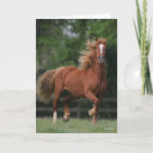 Chestnut Welsh Pony Mane en Tail stromend Kaart (Voorkant)