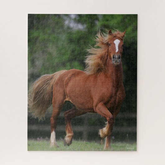 Chestnut Welsh Pony Mane en Tail stromend Legpuzzel (Verticaal)