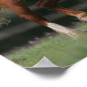 Chestnut Welsh Pony Mane en Tail stromend Poster (Hoek)