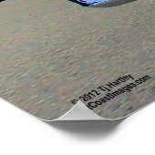 CHEV TRUCK POSTER 1963 (Hoek)