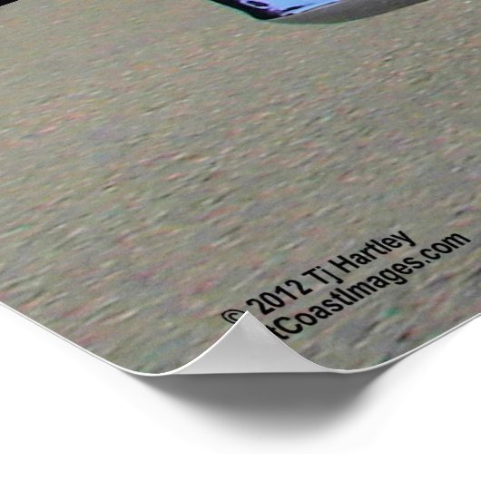 CHEV TRUCK POSTER 1963 (Hoek)