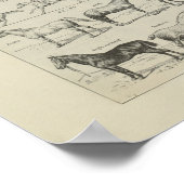 Cheval Anatomie Aplombs Squelette Horse Anatomie Poster (Hoek)