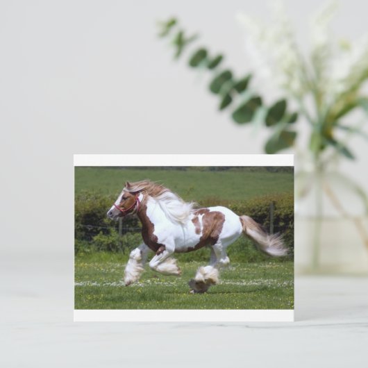 Cheval Briefkaart (Staand voorkant)