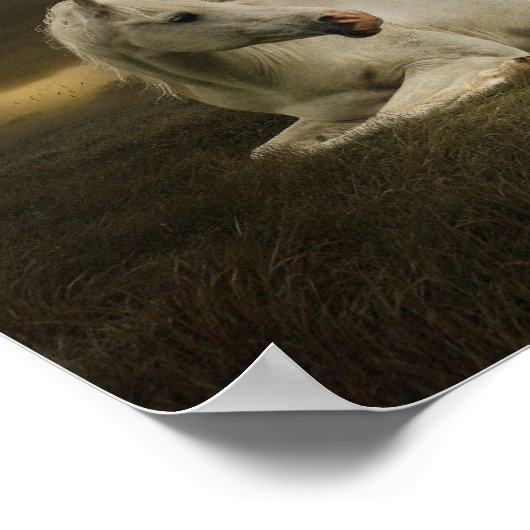 Cheval et enfant poster (Hoek)