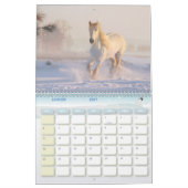 Chevaux-kalender Kalender (Jan 2027)