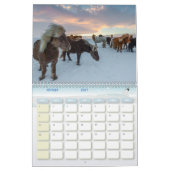 Chevaux-kalender Kalender (Feb 2027)