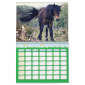 Chevaux-kalender Kalender (Mar 2026)