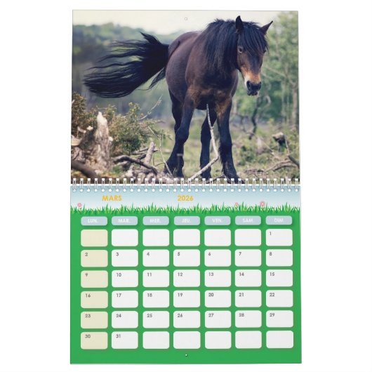 Chevaux-kalender Kalender (Mar 2026)