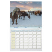 Chevaux-kalender Kalender (Feb 2026)