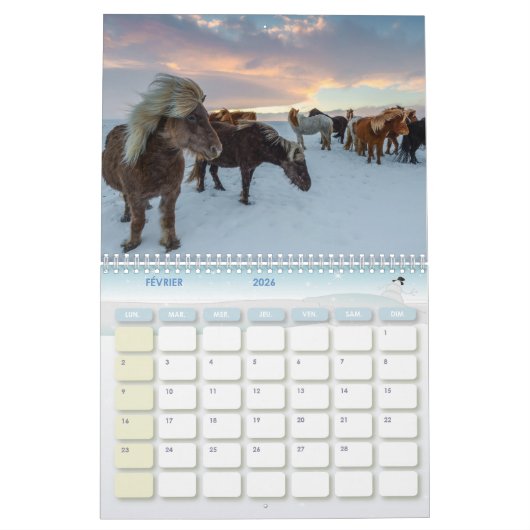 Chevaux-kalender Kalender (Feb 2026)