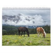 Chevaux-kalender Kalender (Hoes)