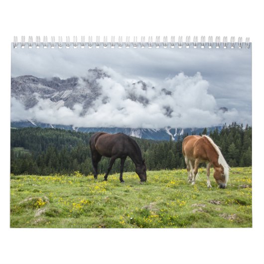Chevaux-kalender Kalender (Hoes)