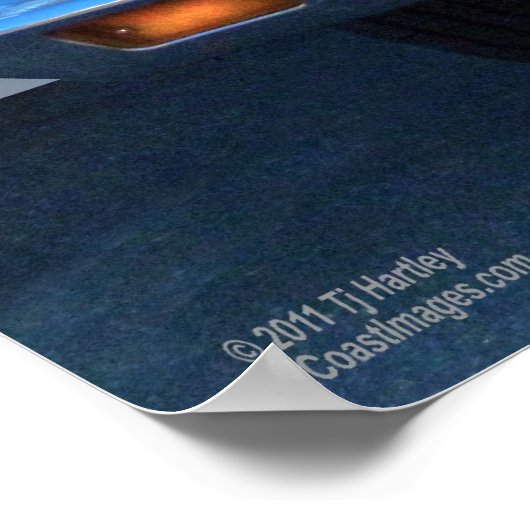 CHEVELLE POSTER 1970 (Hoek)