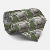 Cheviot schaap stropdas (Opgerold)