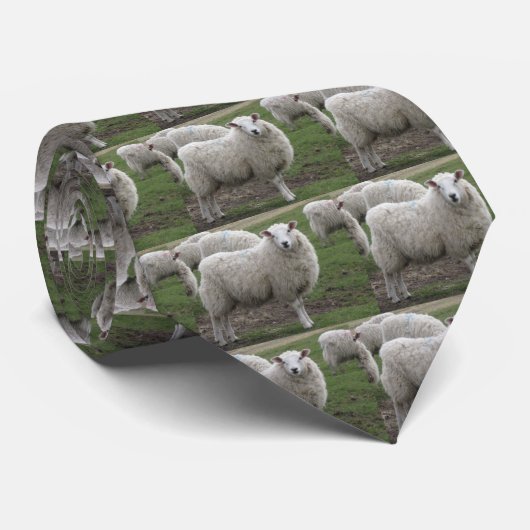 Cheviot schaap stropdas (Opgerold)