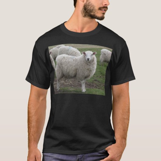 Cheviot schaap t-shirt (Voorkant)