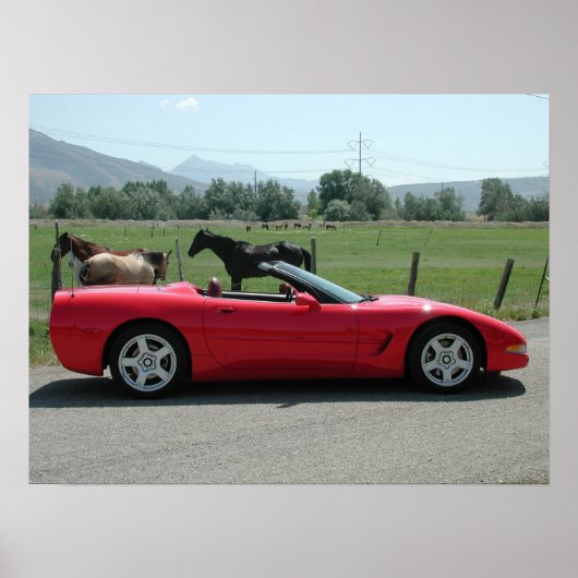 Chevrolet Corvette Convertible C5 Poster (Voorkant)