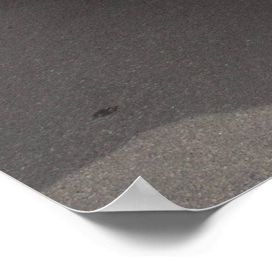 Chevrolet Corvette Poster (Hoek)