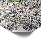 CHEVROLET FLATBED TRUCK 1946 POSTER (Hoek)