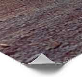 Chevrolet Silverado LT Z71 Trail Boss Crew Cab Poster (Hoek)