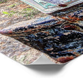 CHEVROLET TRUCK 1946 POSTER (Hoek)