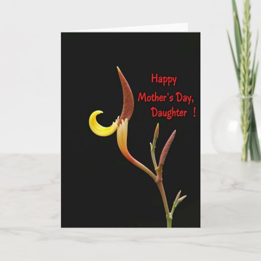 Chevron Botanische Moeders Kaart (Voorkant)
