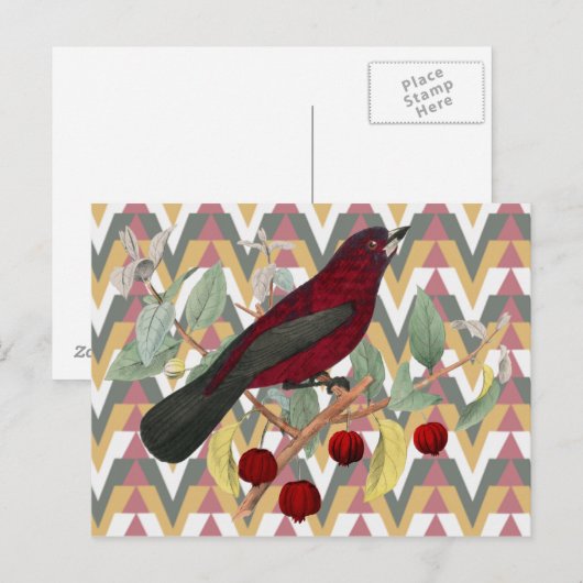 Chevron en rode vogel briefkaart (Voorkant / Achterkant)