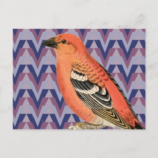 Chevron & Vintage Pink Bird Briefkaart (Voorkant)