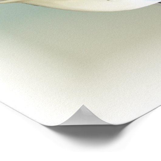 Chevy 1957 poster (Hoek)