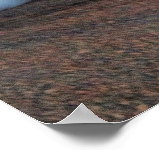 Chevy Camaro burnout Poster (Hoek)