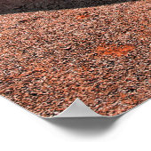 Chevy Impala Classic American Muscar Poster (Hoek)