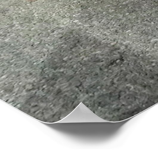 Chevy Impala Lowrider Poster 1960 (Hoek)