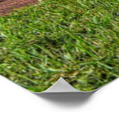 Chevy Nova Poster (Hoek)