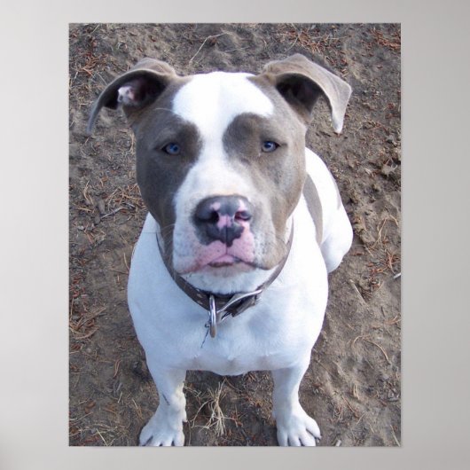 Chevy Poster (Voorkant)