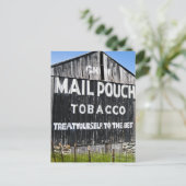 Chew Mail Pouch Tobacco Barn Briefkaart (Staand voorkant)