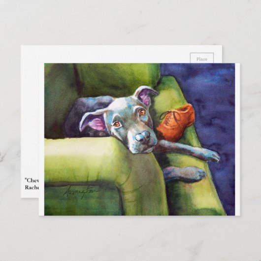 Chew Shoe, Terrier op de Couch Briefkaart (Voorkant / Achterkant)
