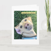 Chew Toys MillieGram Kaart (Voorkant)