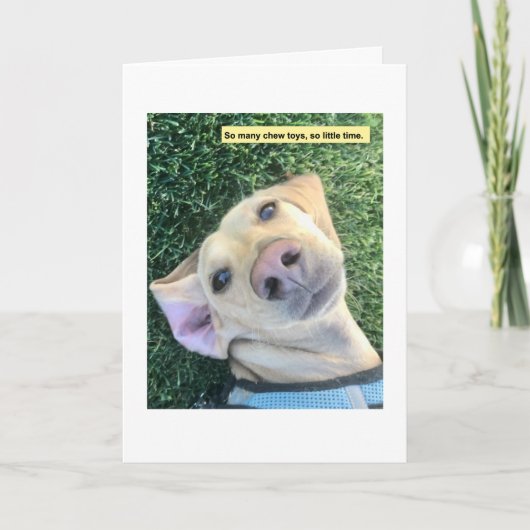 Chew Toys MillieGram Kaart (Voorkant)