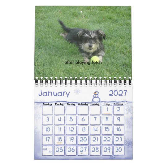 Chewie: A Jaar in Afbeelding Kalender (Jan 2027)