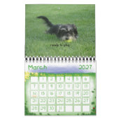 Chewie: A Jaar in Afbeelding Kalender (Mar 2027)