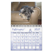 Chewie: A Jaar in Afbeelding Kalender (Feb 2027)