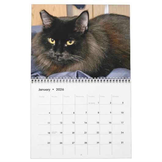 Chewie de Zwarte Kat: 12 maanden Whiskers, Paws, Kalender (Jan 2026)
