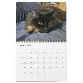 Chewie de Zwarte Kat: 12 maanden Whiskers, Paws, Kalender (Mar 2026)