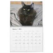 Chewie de Zwarte Kat: 12 maanden Whiskers, Paws, Kalender (Feb 2026)